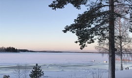 img 270 160