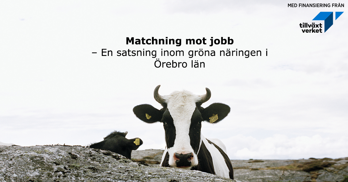 Matcning mot jobb. Bildkälla: Johnér Bildbyrå