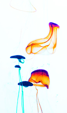 img-173-173