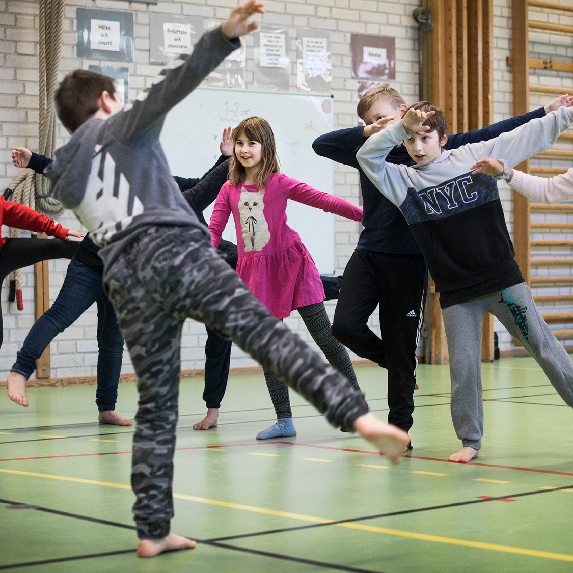 Kulturgarantin, Dans i skolan